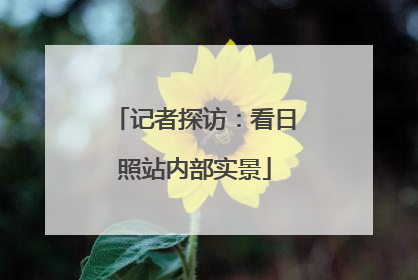 记者探访：看日照站内部实景