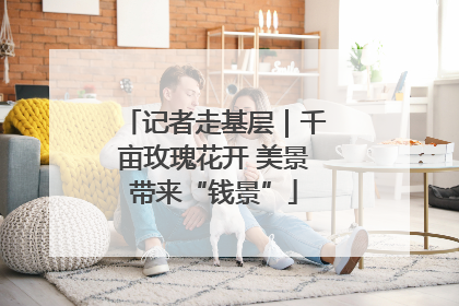 记者走基层｜千亩玫瑰花开 美景带来“钱景”