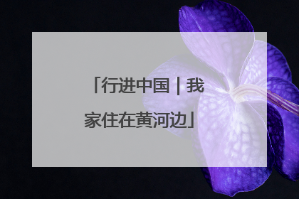 行进中国｜我家住在黄河边