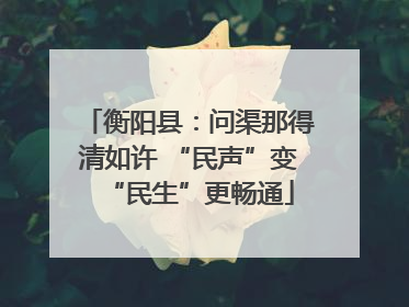 衡阳县：问渠那得清如许 “民声”变“民生”更畅通