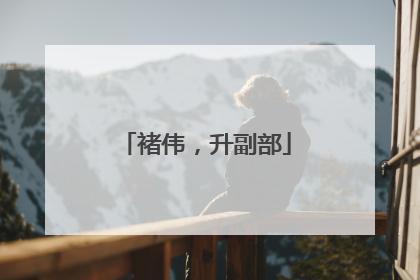 褚伟，升副部