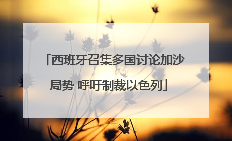 西班牙召集多国讨论加沙局势 呼吁制裁以色列