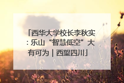 西华大学校长李秋实：乐山“智慧低空”大有可为｜西望四川