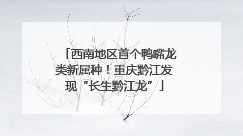 西南地区首个鸭嘴龙类新属种！重庆黔江发现“长生黔江龙”