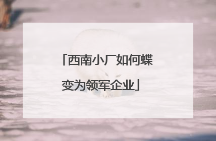 西南小厂如何蝶变为领军企业