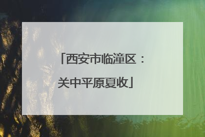西安市临潼区：关中平原夏收