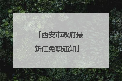 西安市政府最新任免职通知
