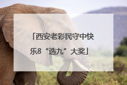 西安老彩民守中快乐8“选九”大奖