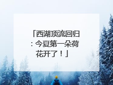 西湖顶流回归：今夏第一朵荷花开了！