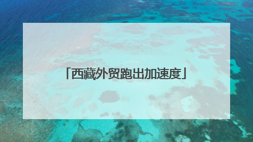 西藏外贸跑出加速度