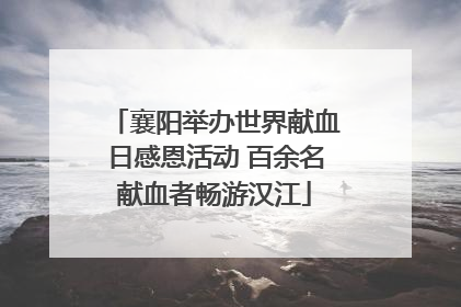 襄阳举办世界献血日感恩活动 百余名献血者畅游汉江