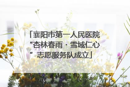 襄阳市第一人民医院“杏林春雨・雪域仁心”志愿服务队成立