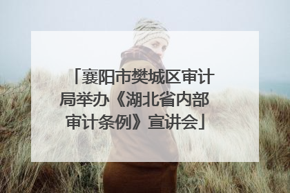 襄阳市樊城区审计局举办《湖北省内部审计条例》宣讲会