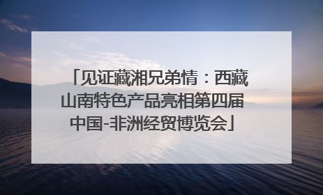见证藏湘兄弟情：西藏山南特色产品亮相第四届中国-非洲经贸博览会