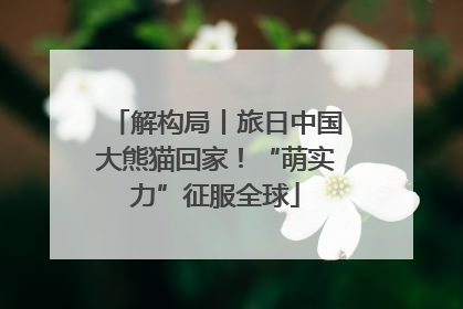 解构局丨旅日中国大熊猫回家！“萌实力”征服全球