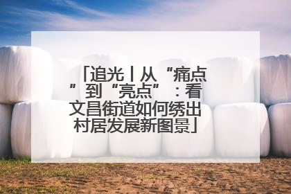 追光丨从“痛点”到“亮点”：看文昌街道如何绣出村居发展新图景