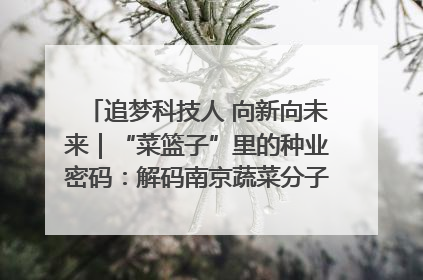 追梦科技人 向新向未来｜“菜篮子”里的种业密码：解码南京蔬菜分子育种的创新之路