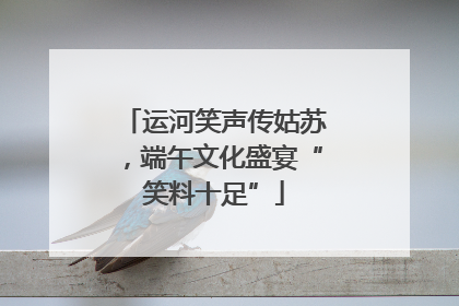 运河笑声传姑苏，端午文化盛宴“笑料十足”