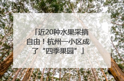 近20种水果采摘自由！杭州一小区成了“四季果园”