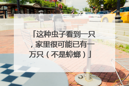 这种虫子看到一只，家里很可能已有一万只（不是蟑螂）