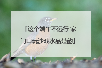 这个端午不远行 家门口玩沙戏水品楚韵