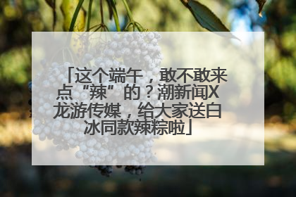 这个端午，敢不敢来点“辣”的？潮新闻X龙游传媒，给大家送白冰同款辣粽啦
