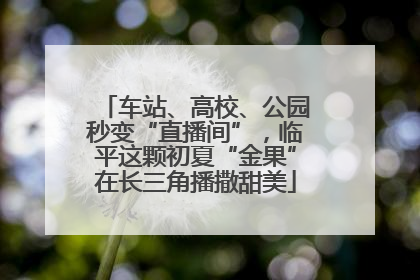 车站、高校、公园秒变“直播间”，临平这颗初夏“金果”在长三角播撒甜美
