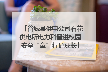 谷城县供电公司石花供电所电力科普进校园安全“童”行护成长
