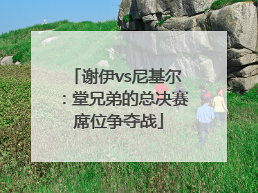 谢伊vs尼基尔：堂兄弟的总决赛席位争夺战