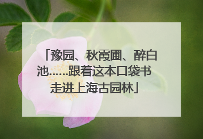 豫园、秋霞圃、醉白池……跟着这本口袋书走进上海古园林