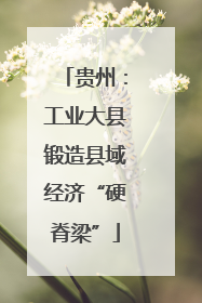 贵州：工业大县锻造县域经济“硬脊梁”