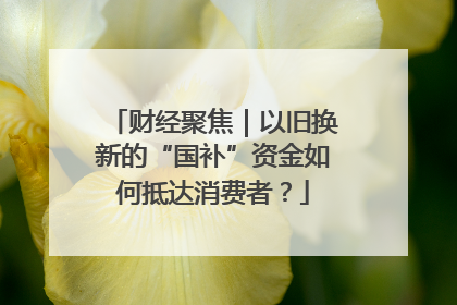 财经聚焦｜以旧换新的“国补”资金如何抵达消费者？