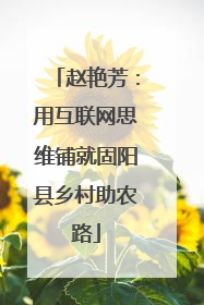 赵艳芳：用互联网思维铺就固阳县乡村助农路