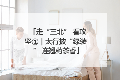 走“三北” 看攻坚①｜太行披“绿装” 连翘药茶香