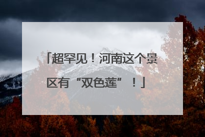 超罕见！河南这个景区有“双色莲”！