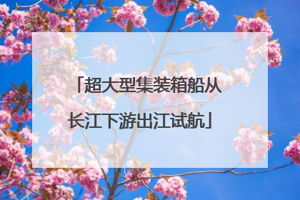 超大型集装箱船从长江下游出江试航