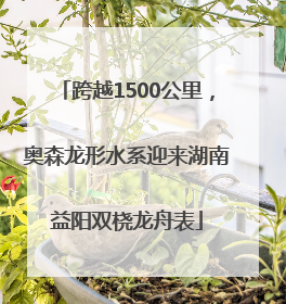 跨越1500公里，奥森龙形水系迎来湖南益阳双桡龙舟表