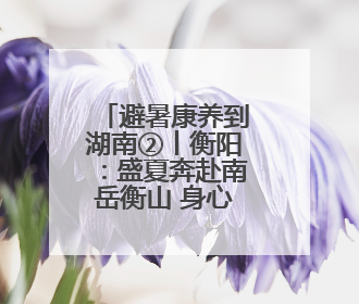 避暑康养到湖南②丨衡阳：盛夏奔赴南岳衡山 身心皆清凉