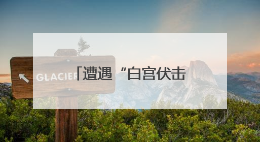 遭遇“白宫伏击”之后 南非总统结束访美行程