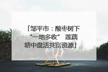邹平市：酸枣树下“一地多收” 莲藕塘中盘活共富资源