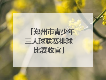 郑州市青少年三大球联赛排球比赛收官