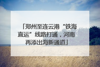 郑州至连云港“铁海直运”线路打通，河南再添出海新通道