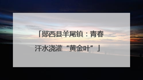 郧西县羊尾镇：青春汗水浇灌“黄金叶”