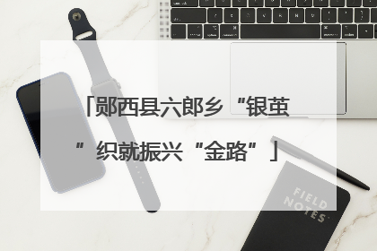 郧西县六郎乡“银茧”织就振兴“金路”