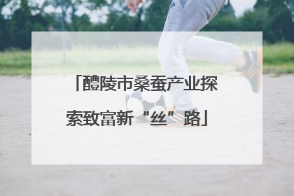 醴陵市桑蚕产业探索致富新“丝”路