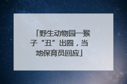 野生动物园一猴子“丑”出圈，当地保育员回应
