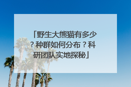 野生大熊猫有多少？种群如何分布？科研团队实地探秘