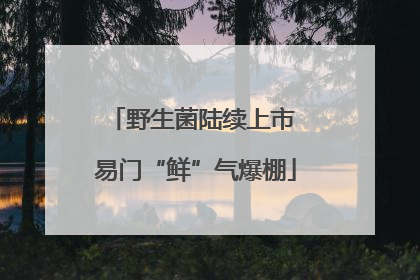 野生菌陆续上市 易门“鲜”气爆棚