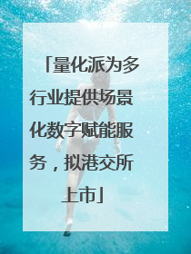 量化派为多行业提供场景化数字赋能服务，拟港交所上市