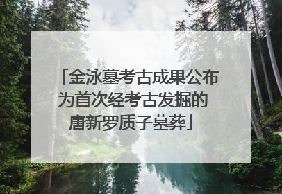 金泳墓考古成果公布 为首次经考古发掘的唐新罗质子墓葬